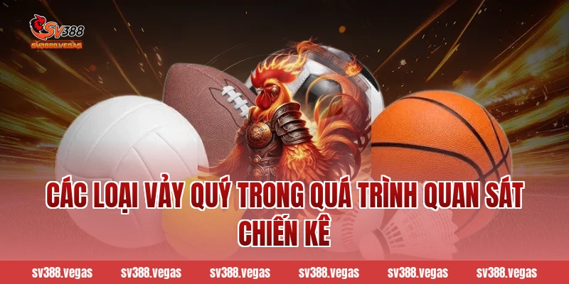Các loại vảy quý trong quá trình quan sát chiến kê