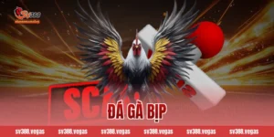 đá gà bịp