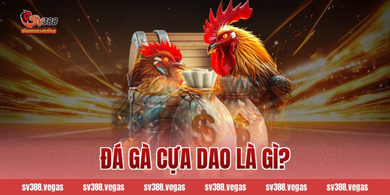 Đá gà cựa dao là gì?